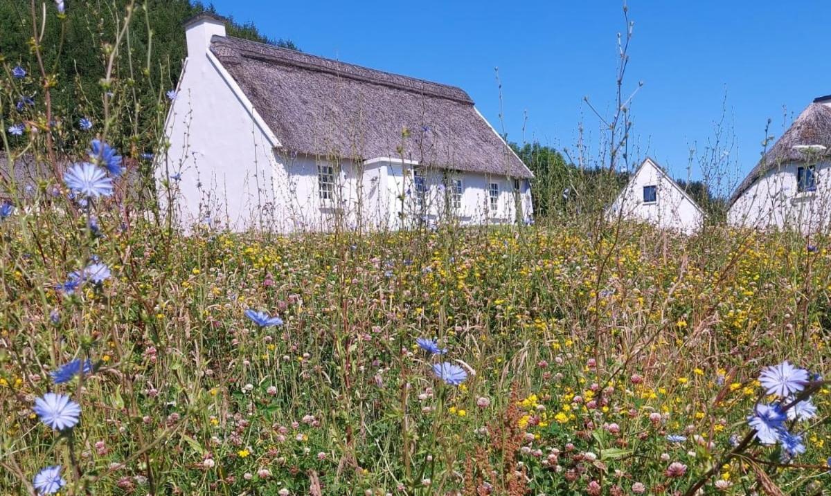 Corofin Lake Cottages מראה חיצוני תמונה